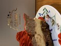 5層の味わいが美しく美味