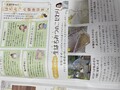 みつばち通信。読み物も嬉しい★
