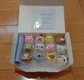 箱は簡易的。