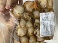迫力ある大容量！