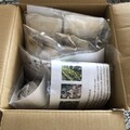 段ボールにピッタリと入っていました。