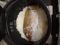 鯛は鯛めしで