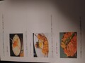 どれから食べようか迷います