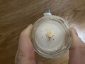 金箔入りで豪華