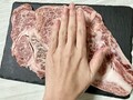 手のひらと比べてこの大きさ