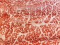 解凍後のお肉