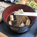 あたたかいつゆにつけた蕎麦