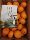 ぴゅあなみかん