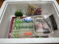 冷蔵便でお届け！！