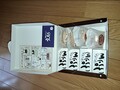 きれいに整列