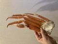 食べ応え抜群！