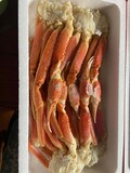 ぎっちり！