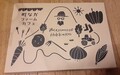 ユニークな箱に入っています