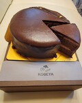 綺麗な断面