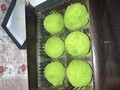 中身