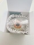 保護ネットで大切に梱包されてます。