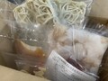 丁寧な梱包