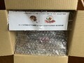 レシピシートと共に届きます
