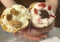 手に収まる大きさ