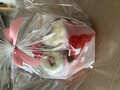 まるで花束