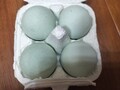 青玉の卵