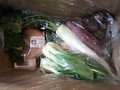 箱の中にぎっしり