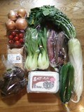 こんなにたくさんの野菜が。大根も葉つき♪