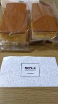 ブレーンとショコラのご対面