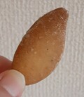 小さいけど食べごたえあります