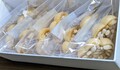 2つずつ個包装なので食べやすいです