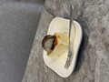 時間をおくととろけます