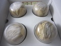 箱の中ではしっかり固定されています