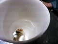 ひれ酒は香ばしいです～