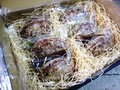 箱の中はこんな感じです