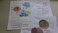手書きのチラシ