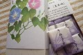 朝顔の季節の掛け紙が可愛いです