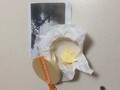家族でフロマージュを囲みながら、其々の取皿に移した後の画像です。