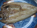 立派な甘鯛