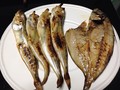 普段食べないお魚も食べられます！