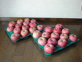 27個のリンゴたち