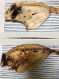 ノドグロ、アジ焼いてみました。脂がのってます。