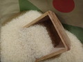 丁寧に精米されたであろうお米
