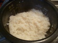 炊き上がり直後