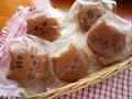どの子を手に取ろうか迷ってしまう