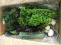 新鮮野菜
