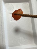 らっきょうのキムチ