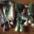 種類豊富な野菜