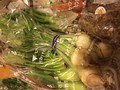 箱からあふれる新鮮な野菜たち