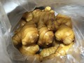 黄金色
