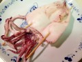 ふわりと柔らかで、甘みのある『白いか』
